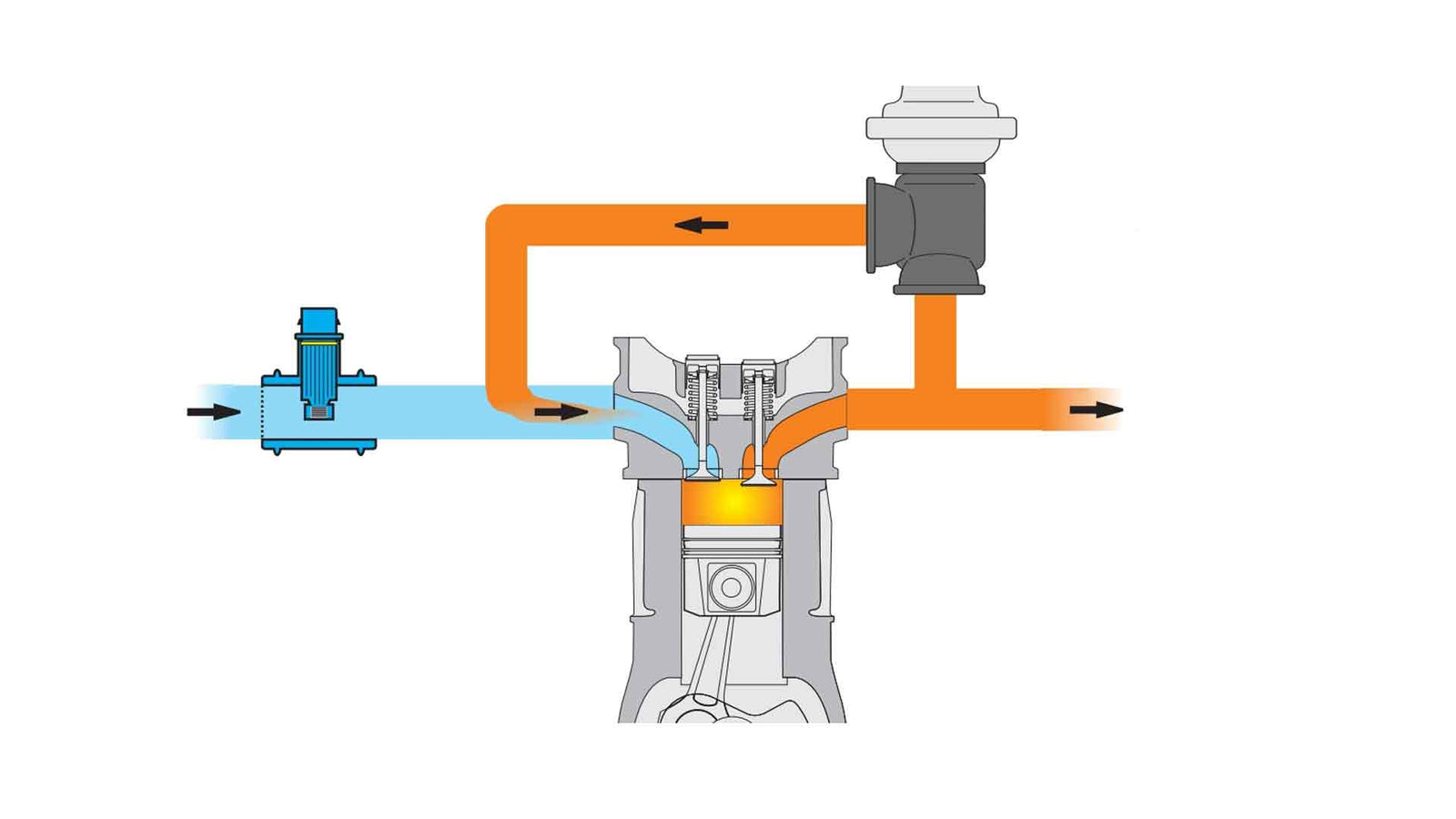 EGR: cos’è, come lavora e quali sintomi dà quando si sporca